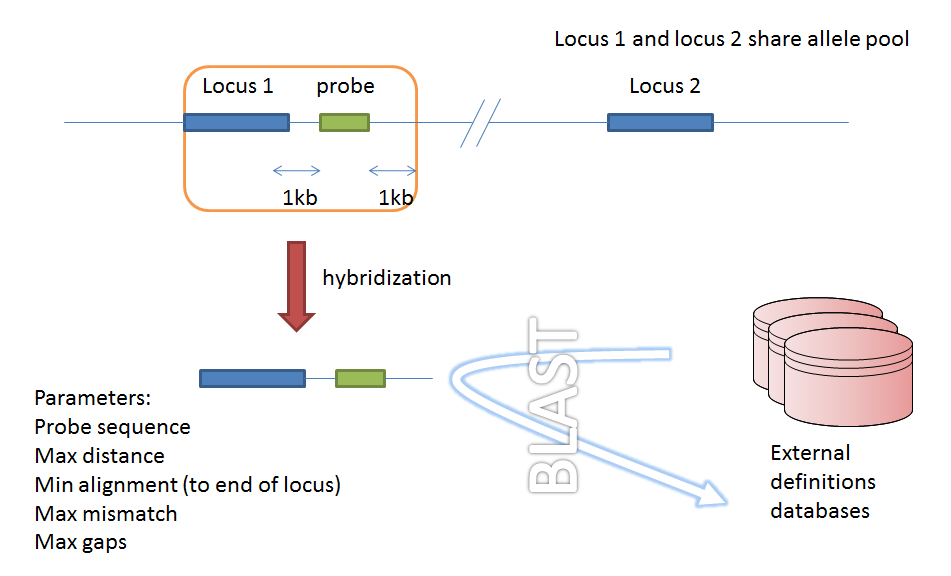 _images/in_silico_hybridization.png