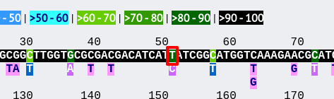 ../_images/locus_explorer5.png